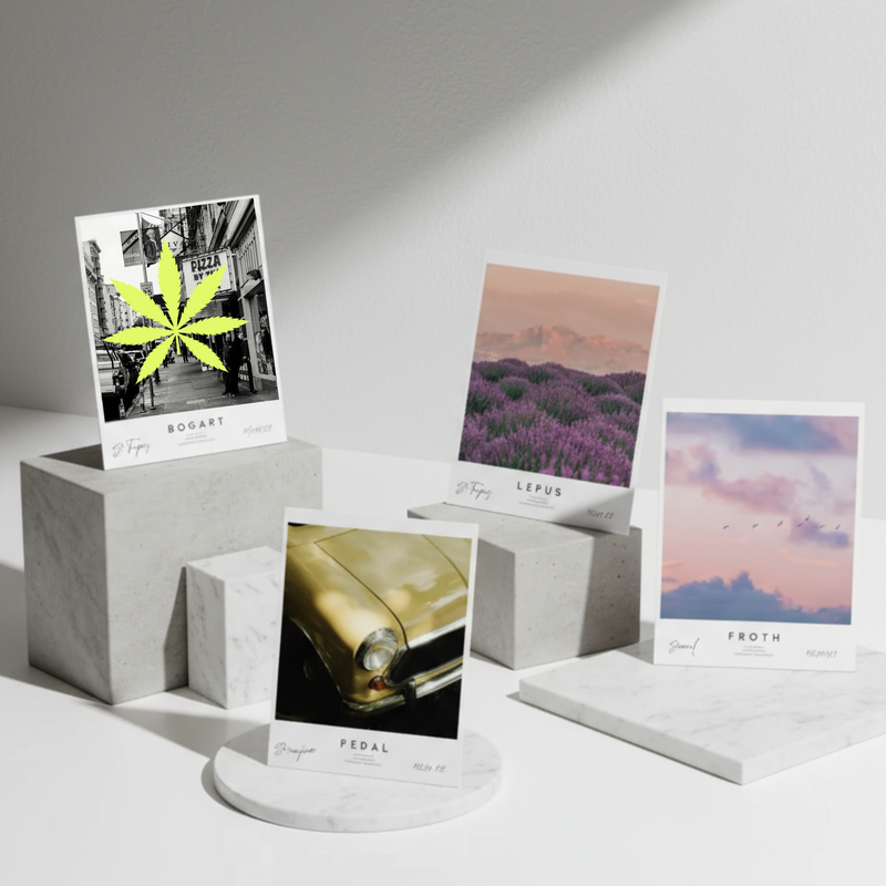 Limited Release Sample Pack